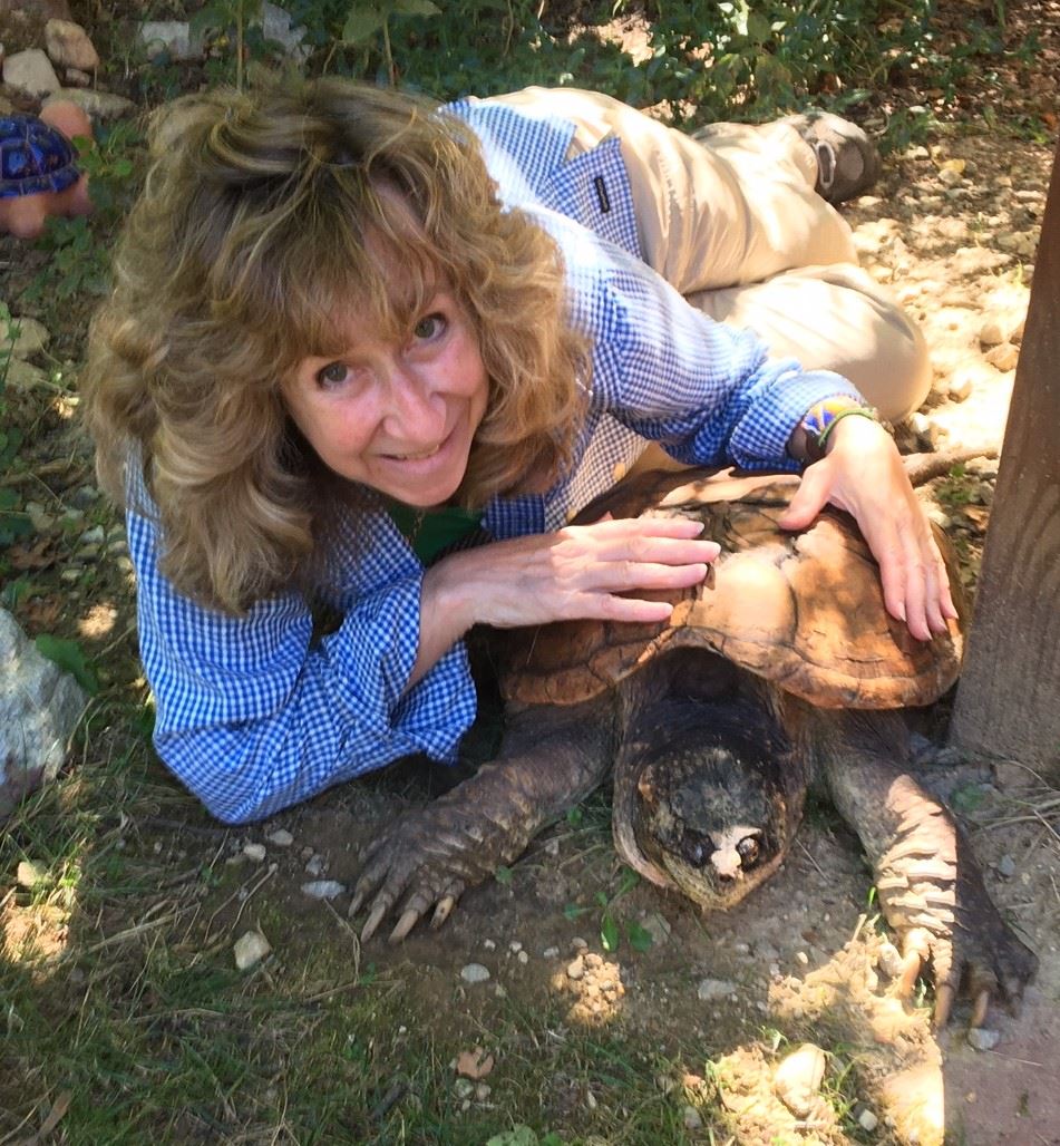 Author Sy Montgomery with snapping turtle named Fire Chief