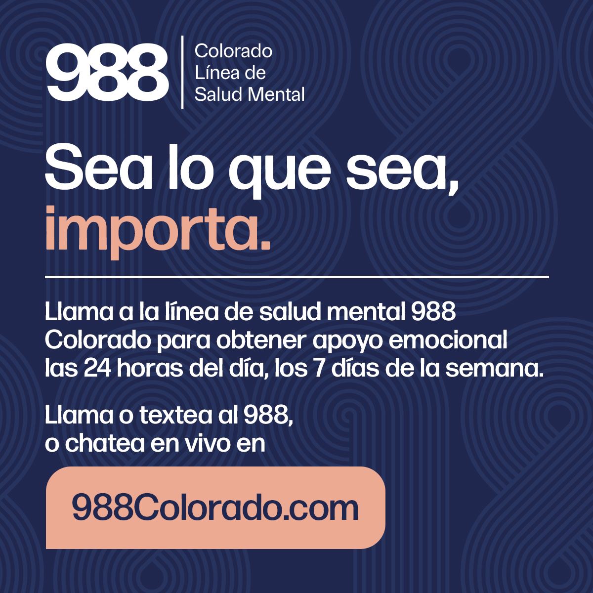 Whatever It Is Social Spanish