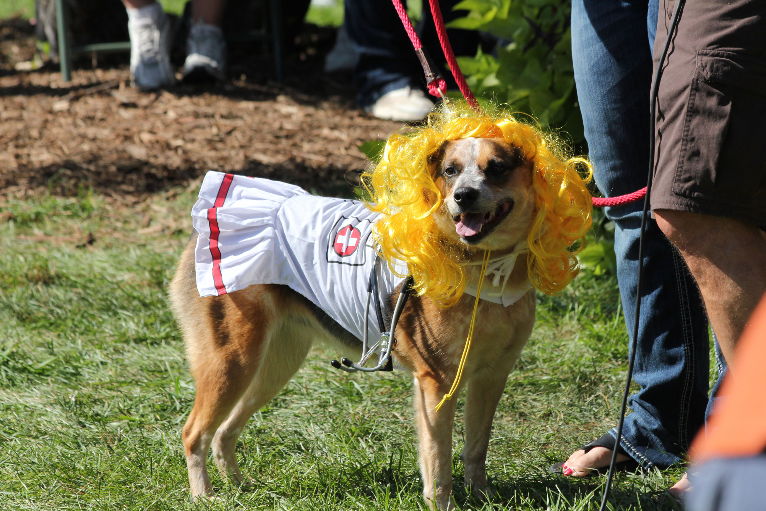 Broomfield Days 2013