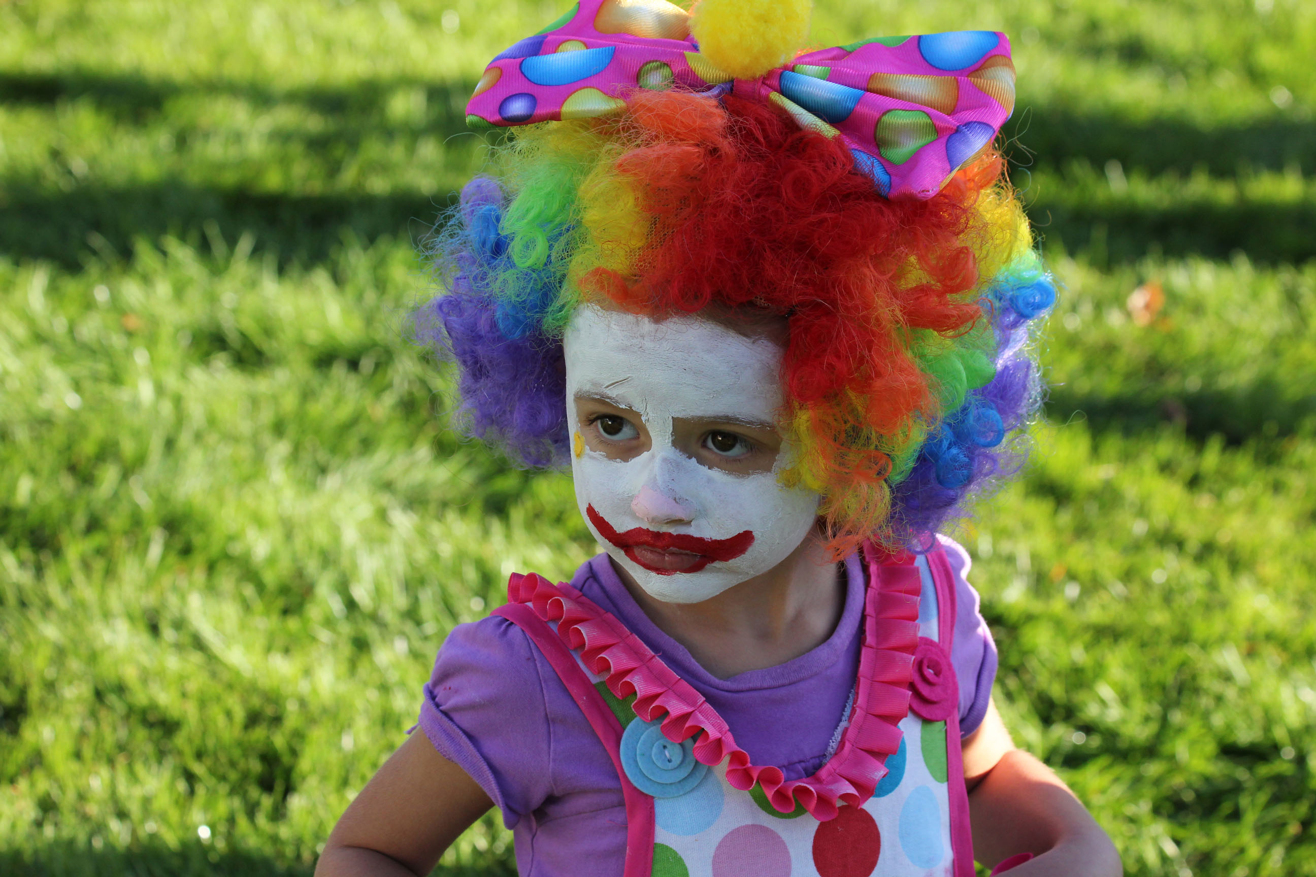 Broomfield Days 2013